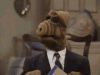 shocked-face-alf.gif